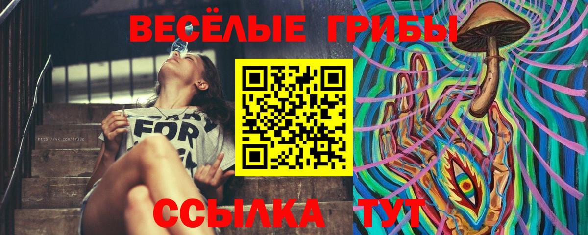 Галлюциногенные грибы прущие грибы  Вход с VPN  Волоколамск 